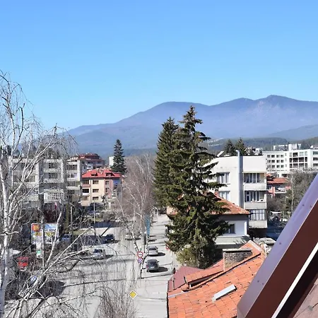 шошови Velingrad