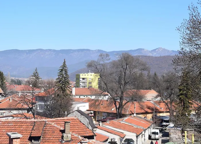 шошови Konukevi